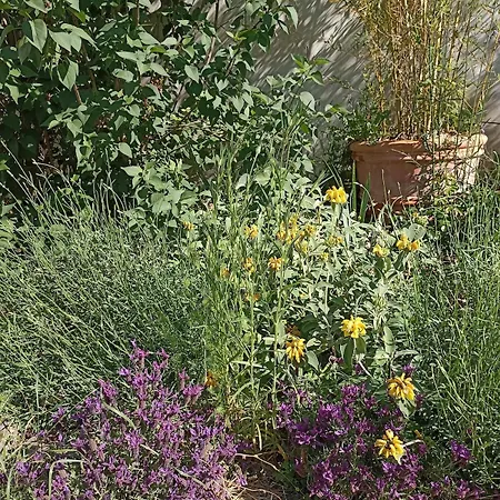 Lägenhet Le Jardin Du Couvent