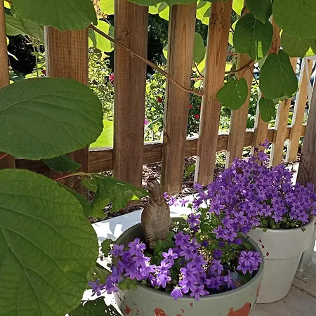 Le Jardin Du Couvent Apartamento Roussillon (Isere)