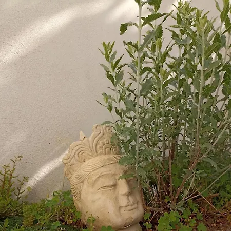 Le Jardin Du Couvent Apartamento